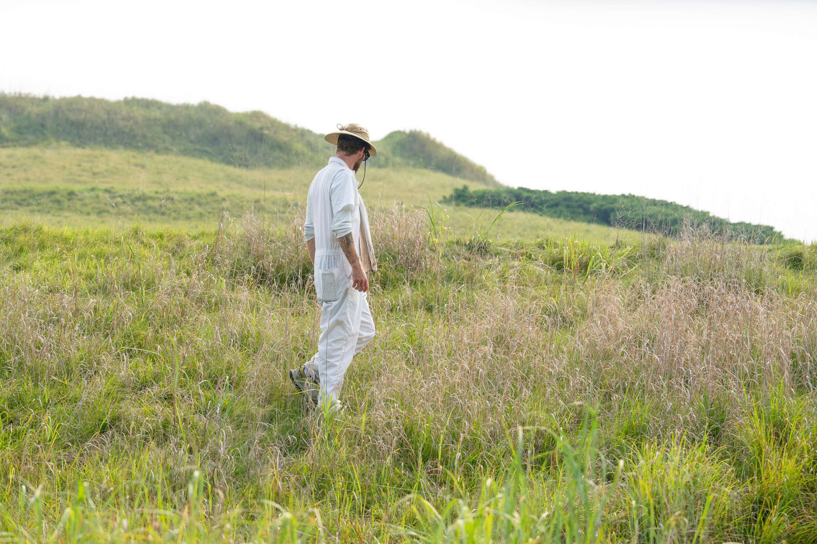 A solitary figure moving through a sunlit field